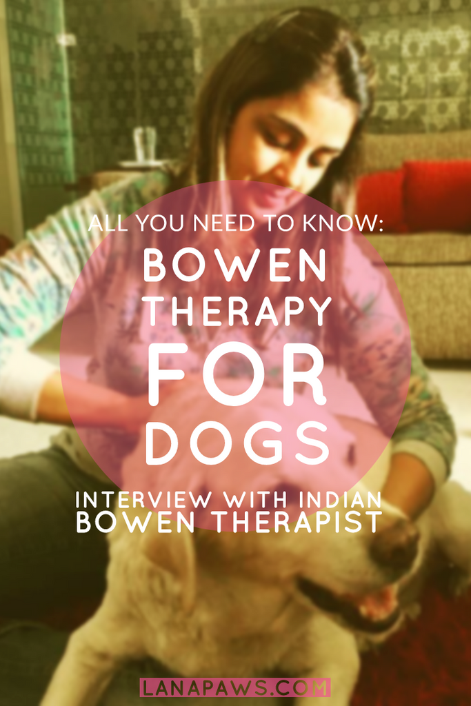 Lana Paws blog canine bowen therapy India