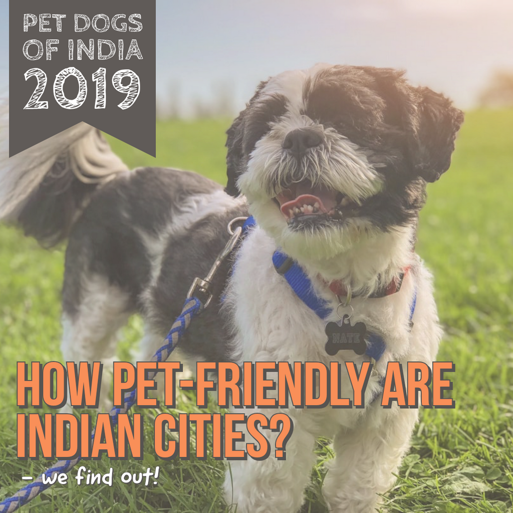 Lana Paws pet dog survey 2019 