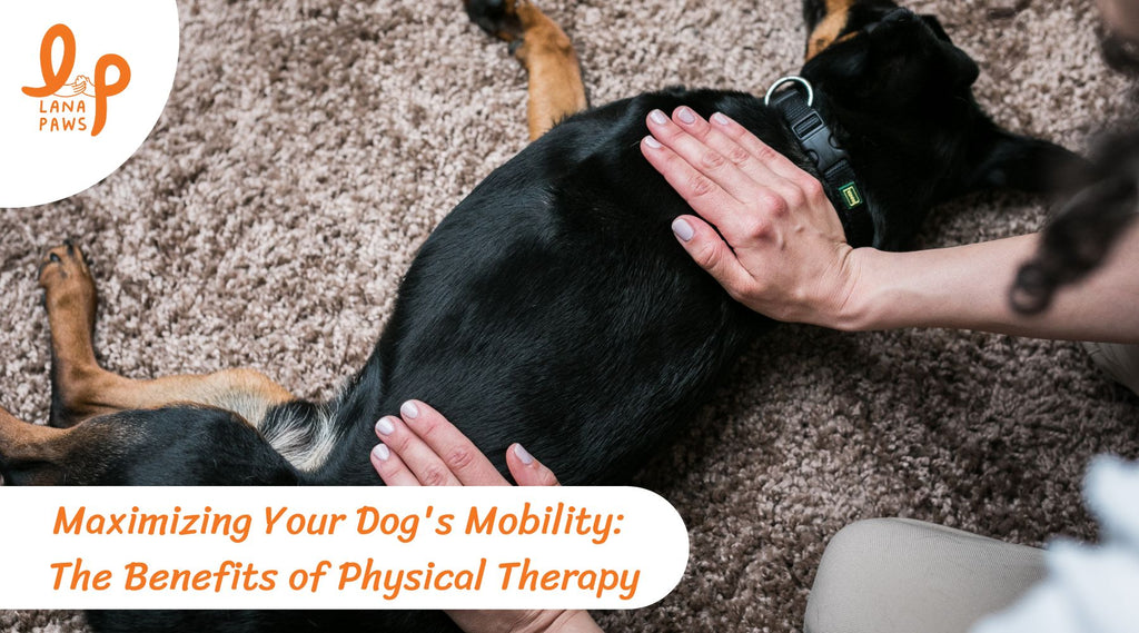 benefits of physical therapy for dogs