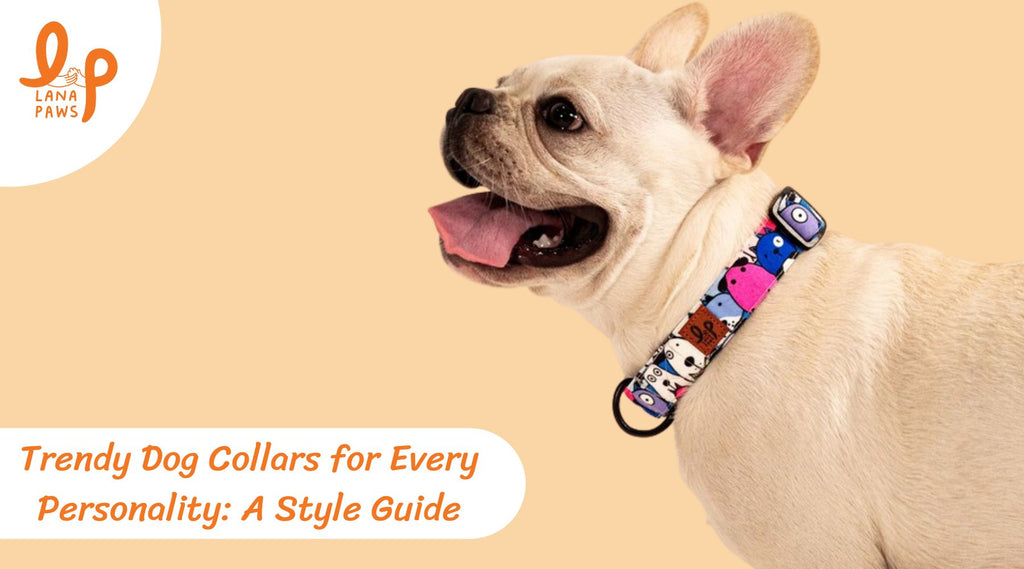 Trendy Dog Collars for Every Personality: Style Guide for Indian Pet Parents
