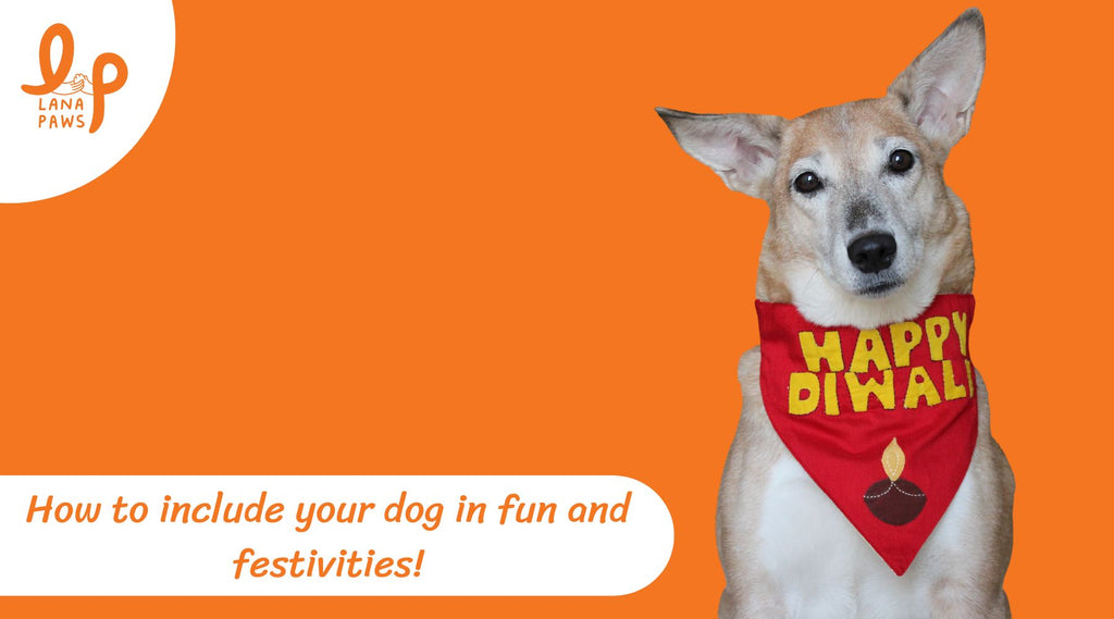 Lana Paws Diwali dog bandana and diwali clothes for dogs