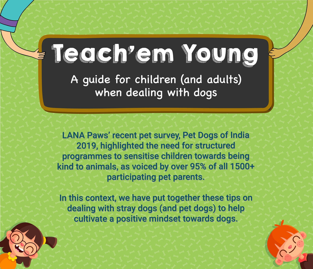 A guide for children (and adults) when dealing with dogs