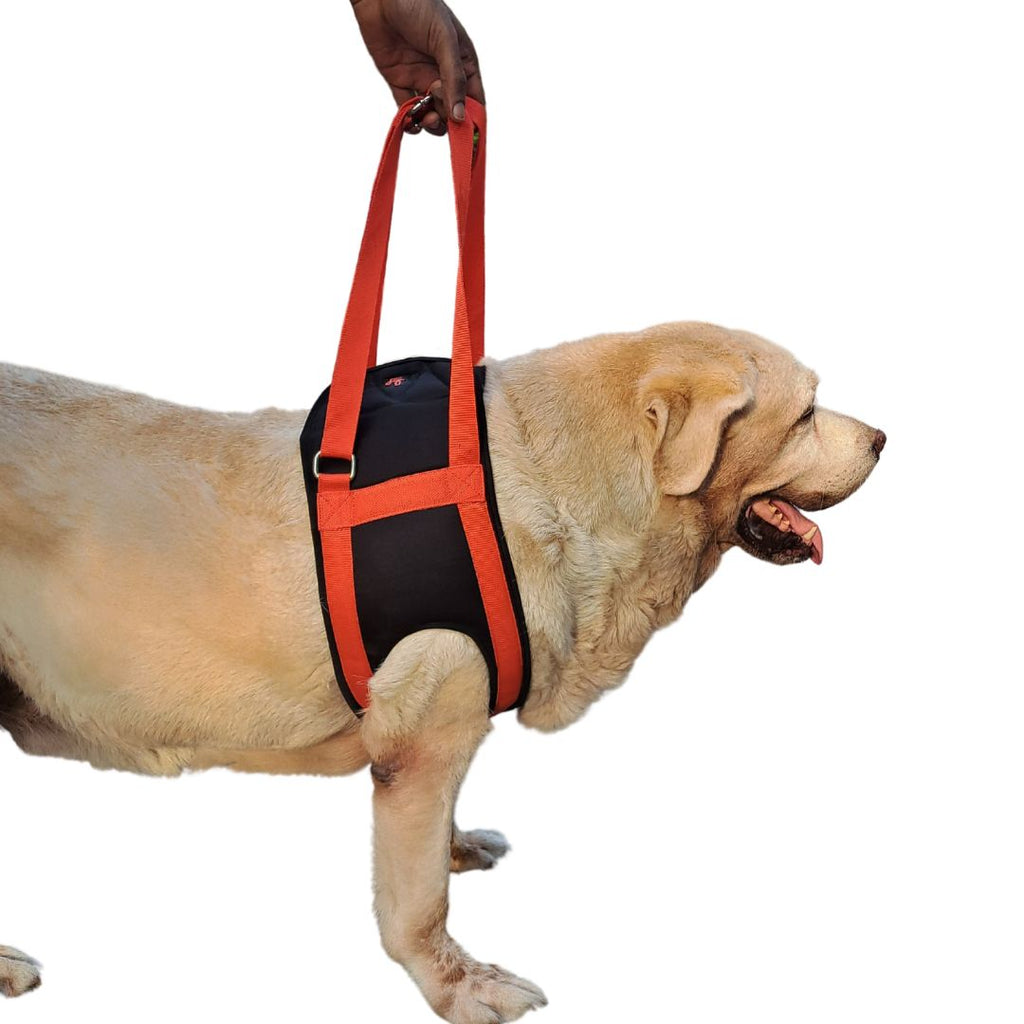 Lana Paws Dog Sling For Front Legs, Front Lifting Support For Dogs