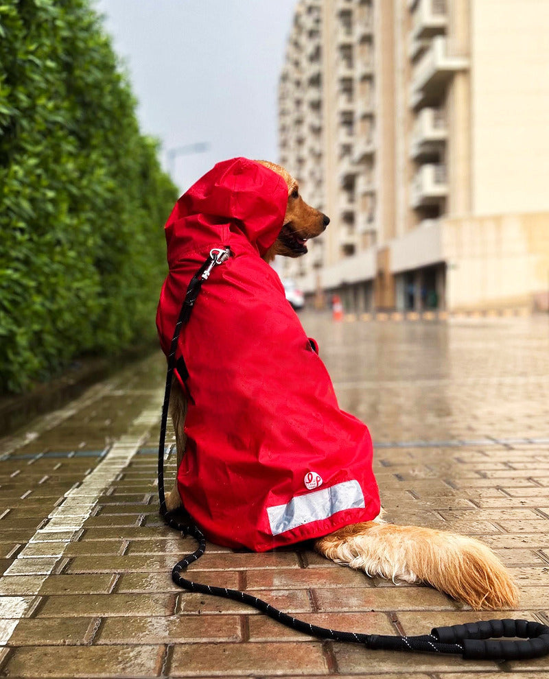 dog raincoat online
