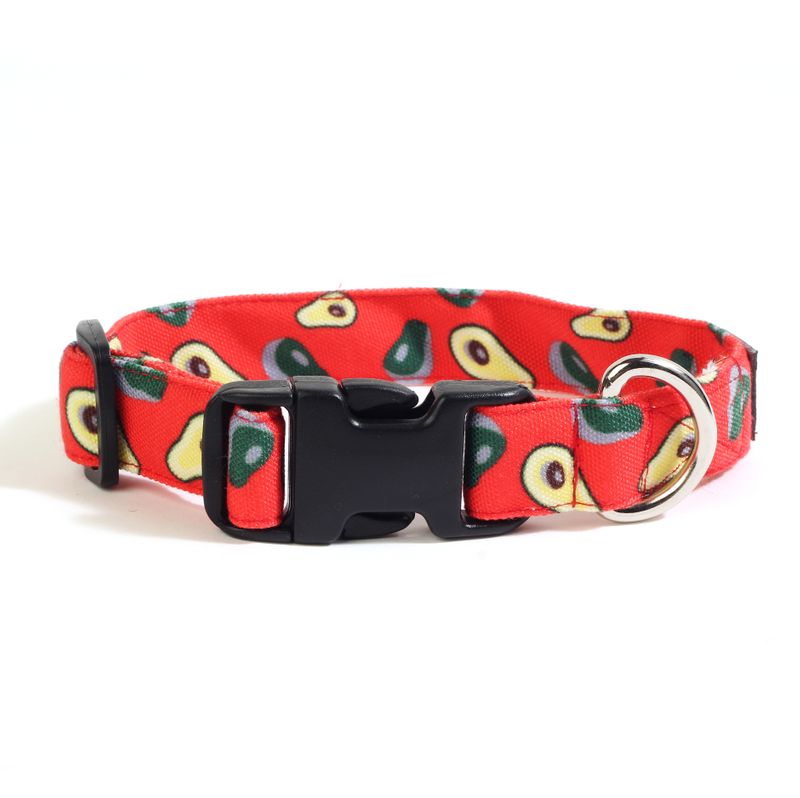 Avocado dog outlet collar