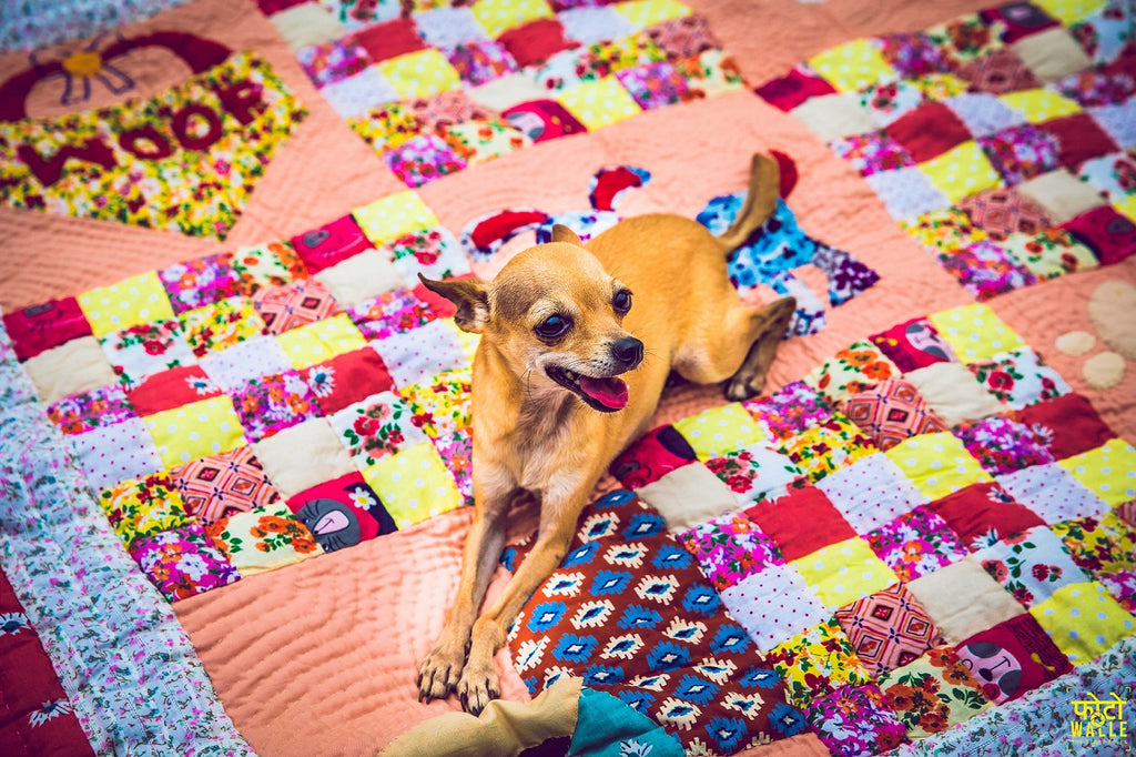 Lanapaws patchwork dog bed mat pastel