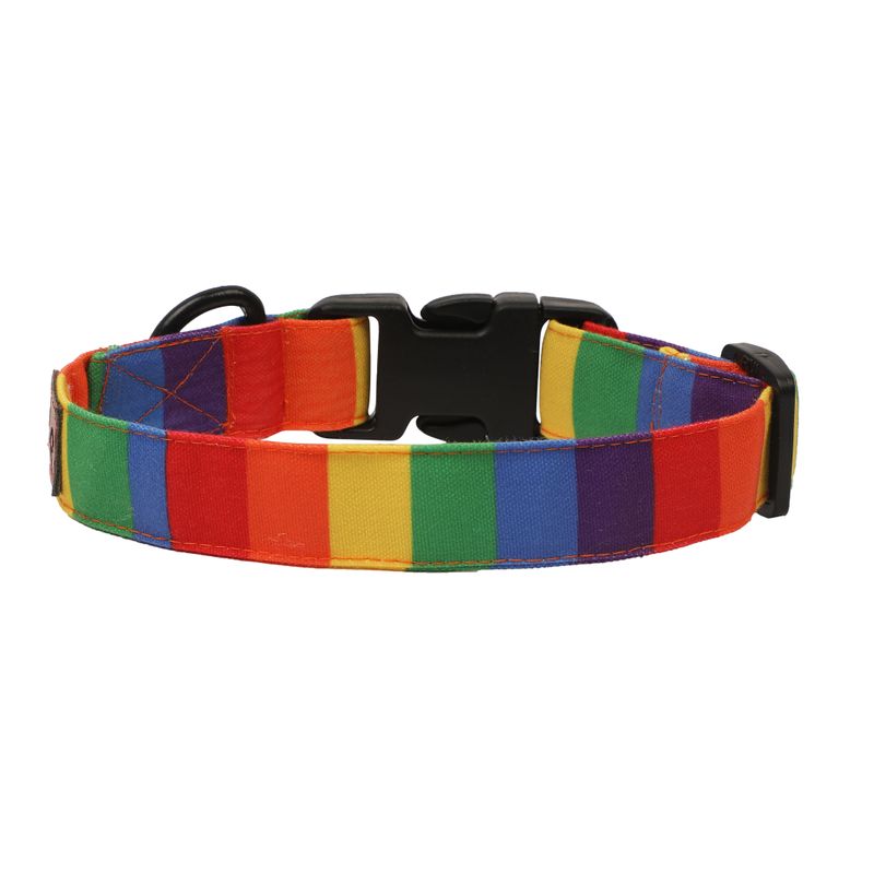 rainbow dog collar belt lanapaws