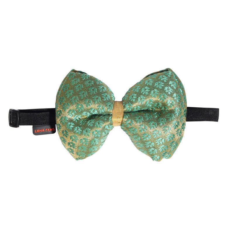 Buy festive and wedding red dog bow ties online in India l Lana Paws