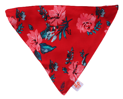 Lana Paws red floral dog bandana scarf