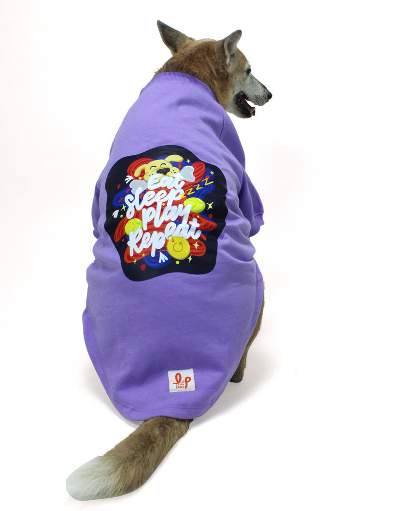 dog winter sweatshirt for labrador, golden retriever, beagle, indie, pug