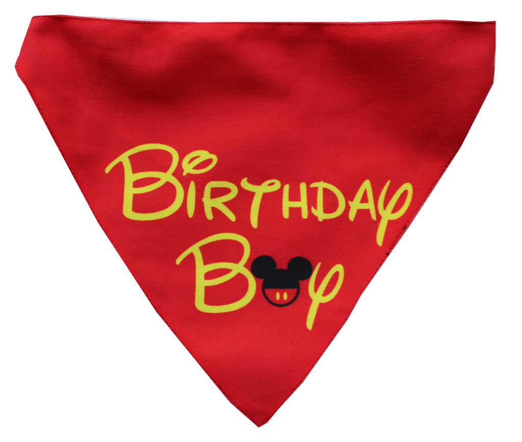 Lana Paws Birthday Boy Dog bandana