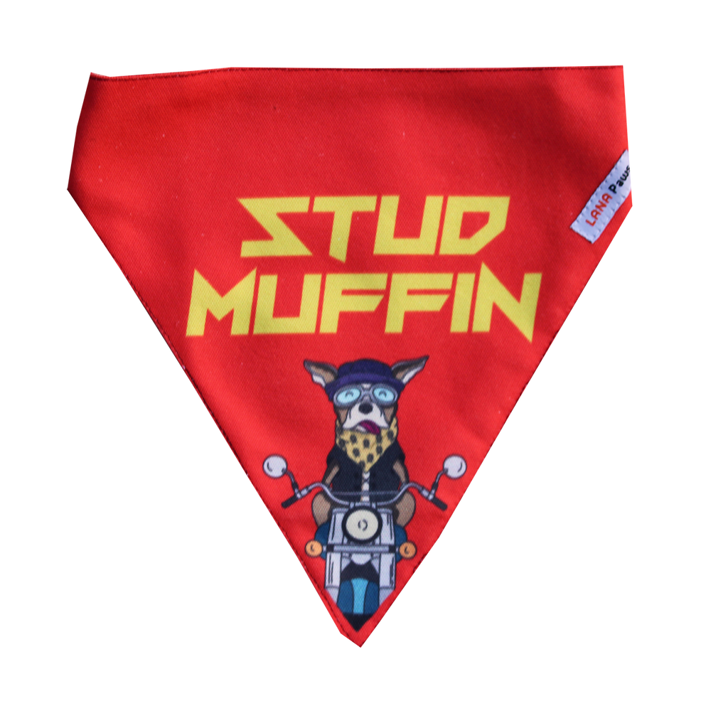 Lana Paws Stud muffin red dog bandana 