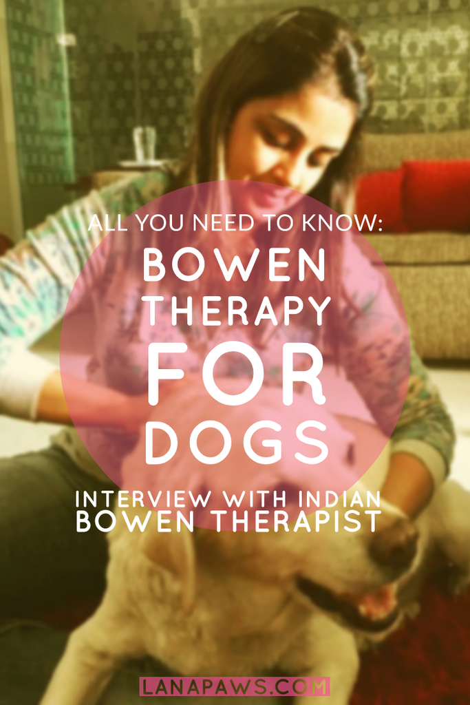 Lana Paws blog canine bowen therapy India 
