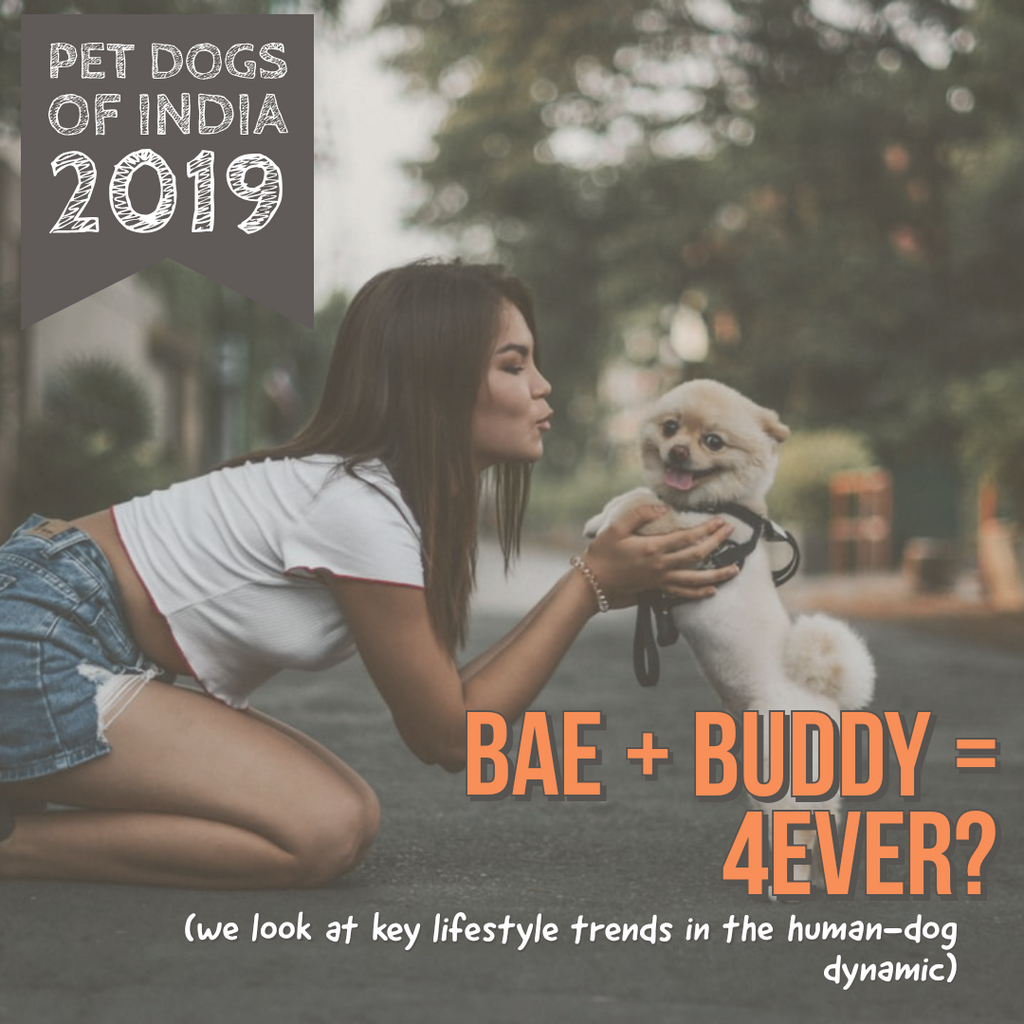Lana Paws pet survey 2019
