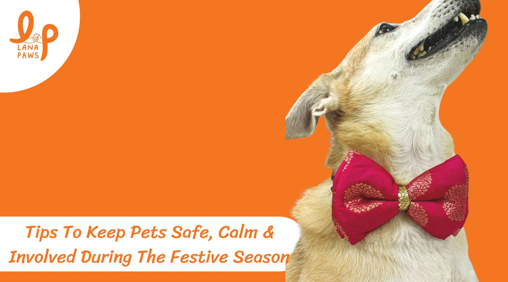 Tips To Keep Pets Safe, Calm & Involved During The Festive & Holiday Season