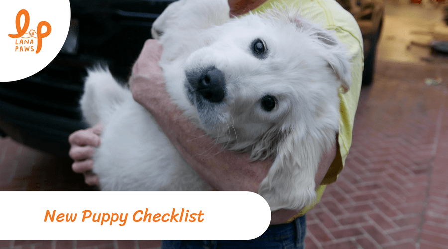 New puppy checklist Lana Paws Blog