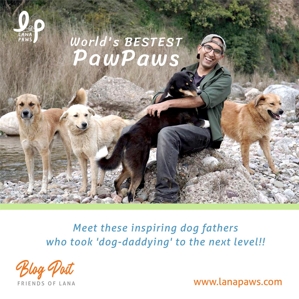Lana Paws Father's Day celebrating dog dads