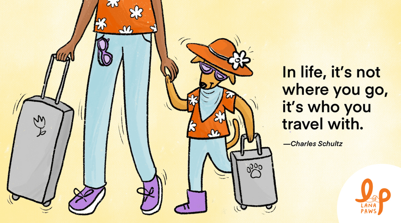 How To Travel With Your Pets in India