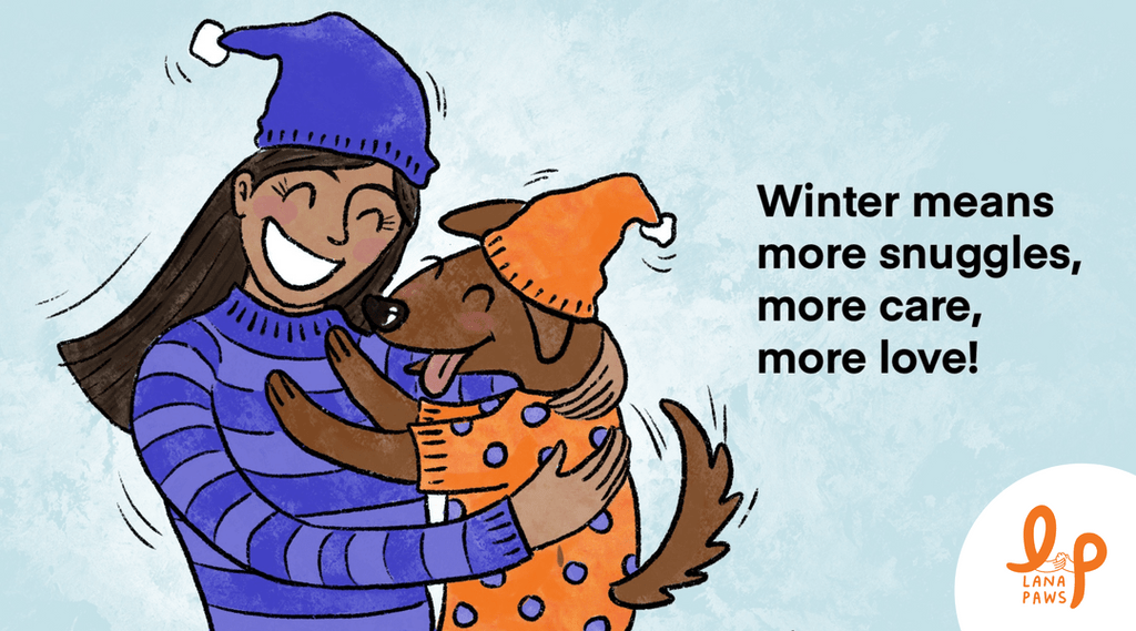 Top Ten Winter Care Tips For Dogs