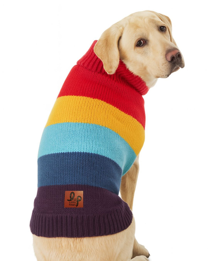 Buy Best Quality Dog Sweaters Online l Lana Paws