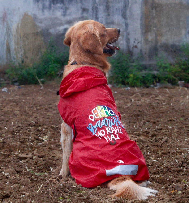 Dog sales raincoat online