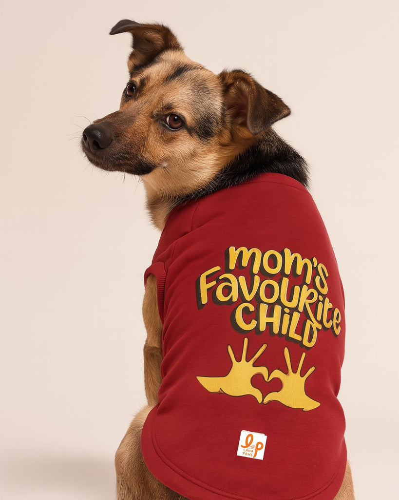 Winter Dog Sweatshirt - Mom's Favourite Child