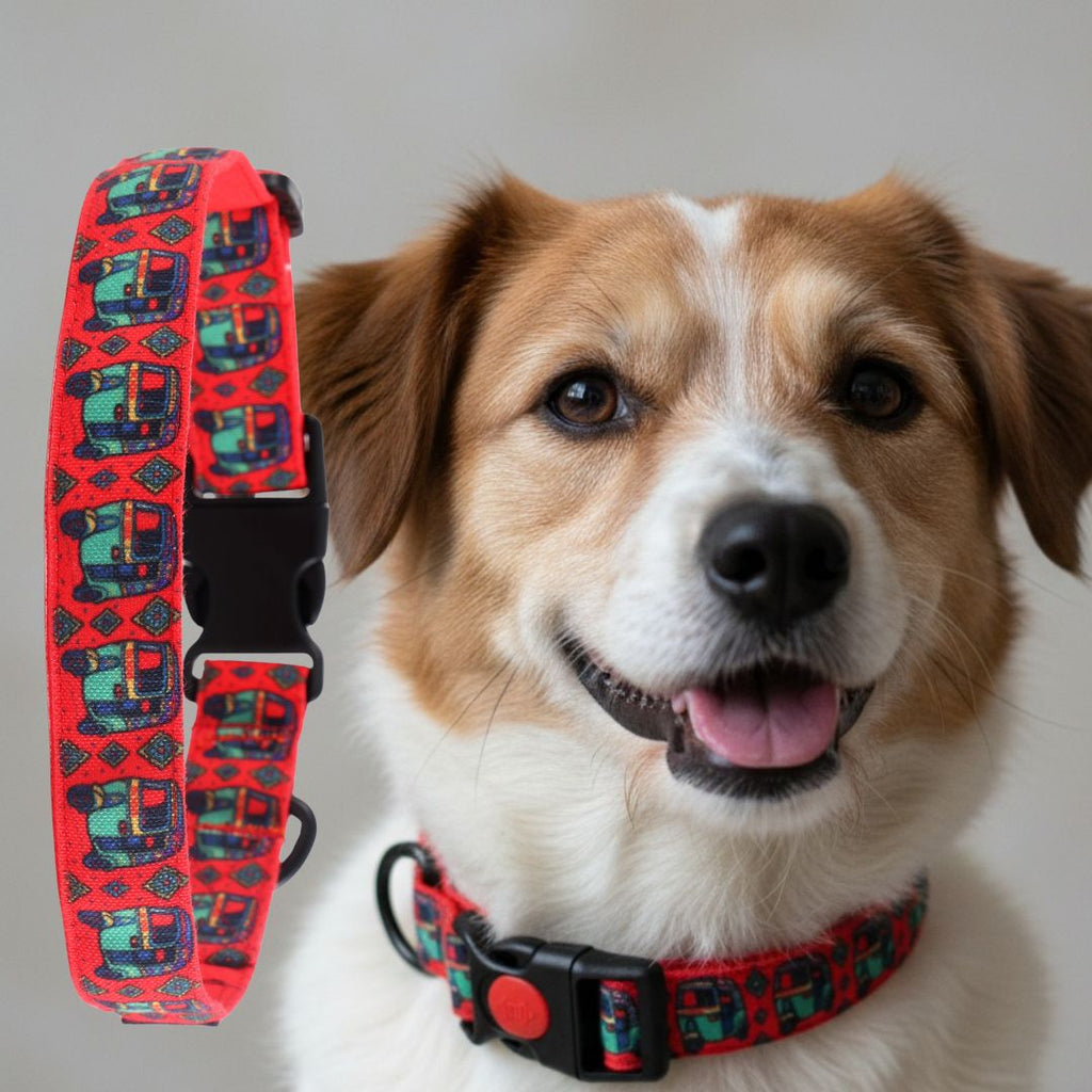 comfortable dog collar belt online 