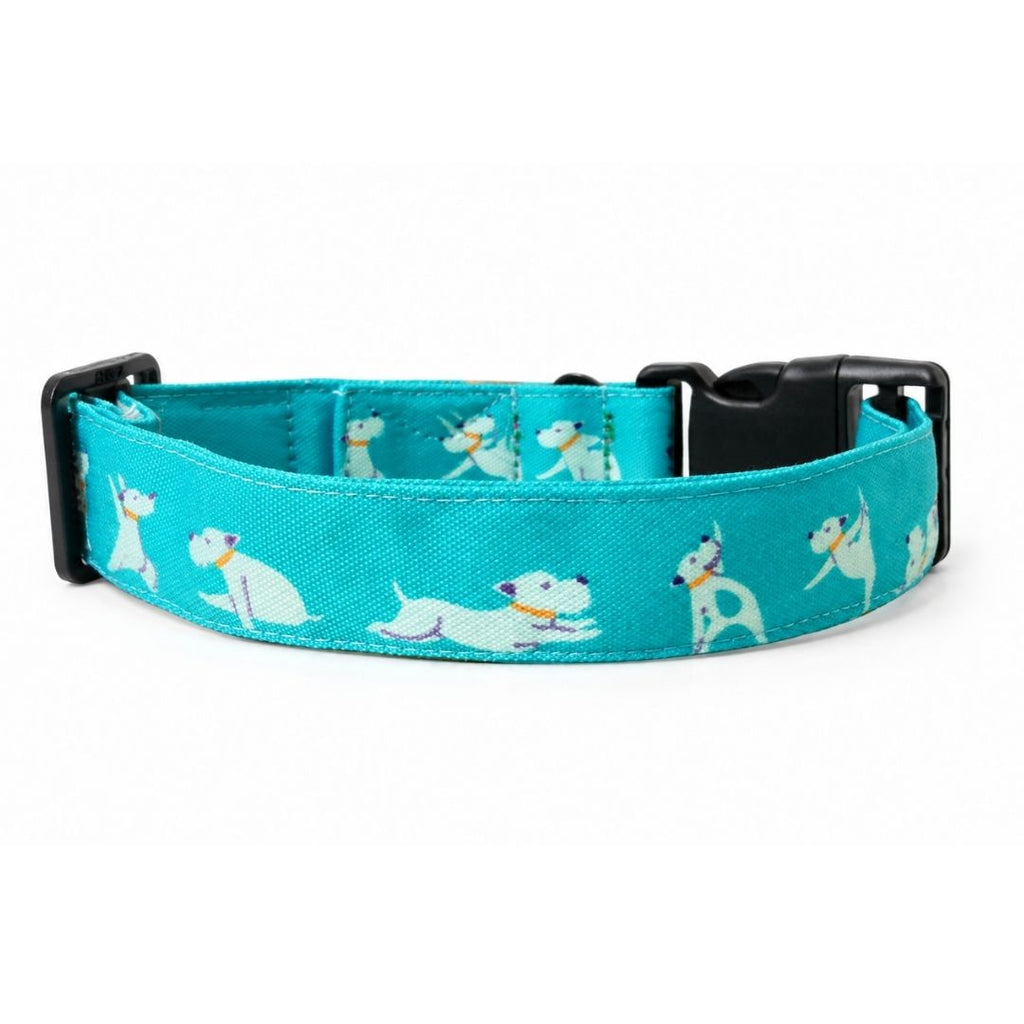 dog in yoga poses dog collar neck belt India