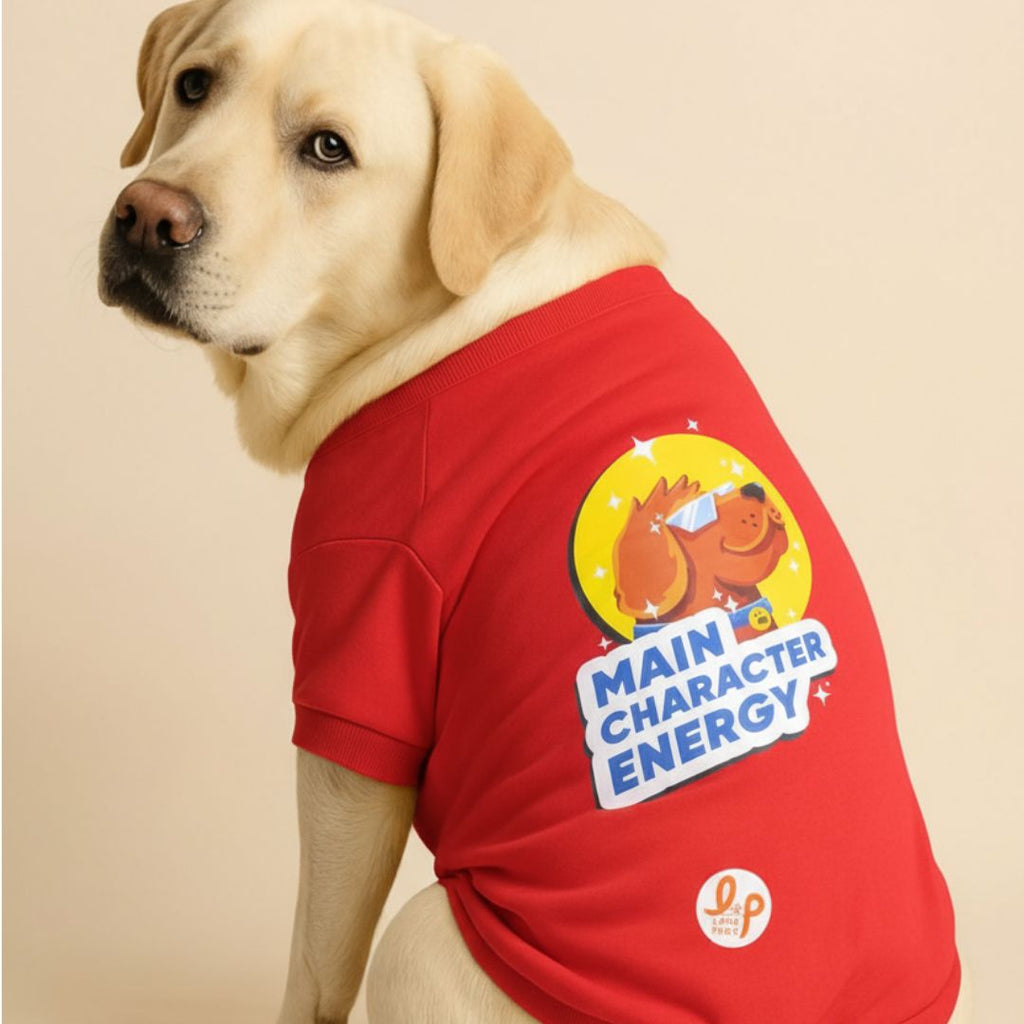 Winter Dog Sweatshirt - Main Character Energy