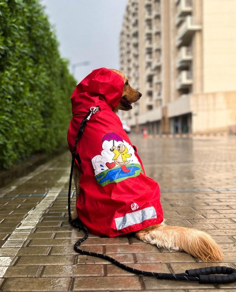 Shih shop tzu raincoat