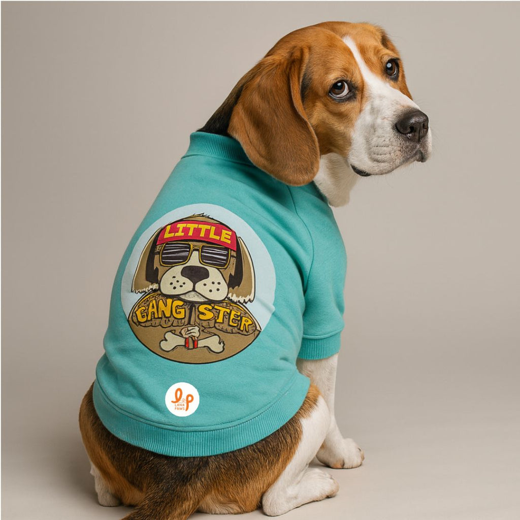Winter Dog Sweatshirt - Little Gangster