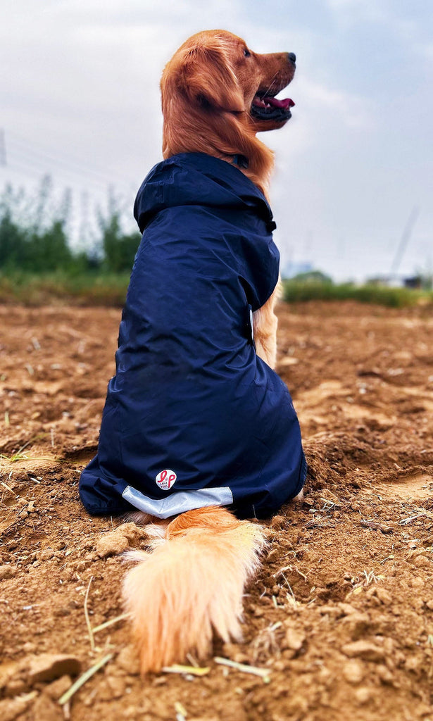 Lana Paws affordable rain coats for dogs