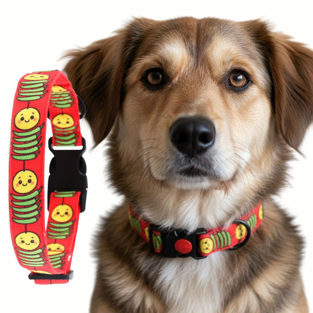 dog collars for large dogs like golden retrievers and labradors