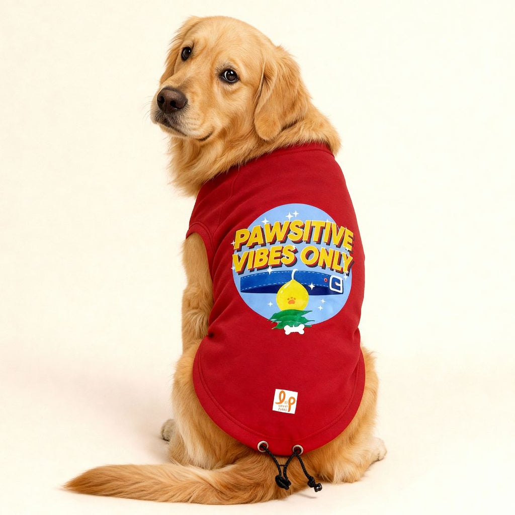affordable dog sweatshirts online India