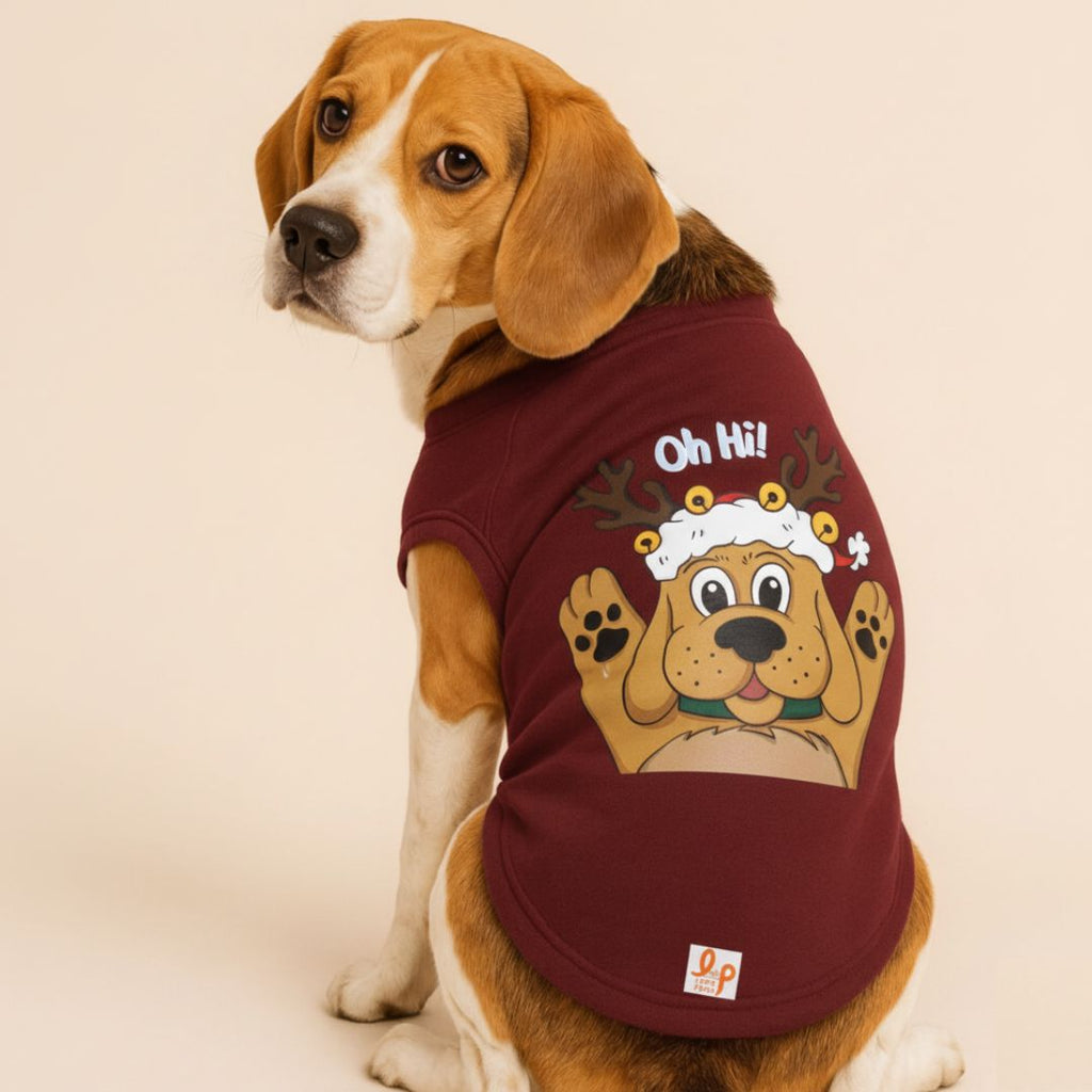 Winter Dog Sweatshirt -  Reindeer Dog