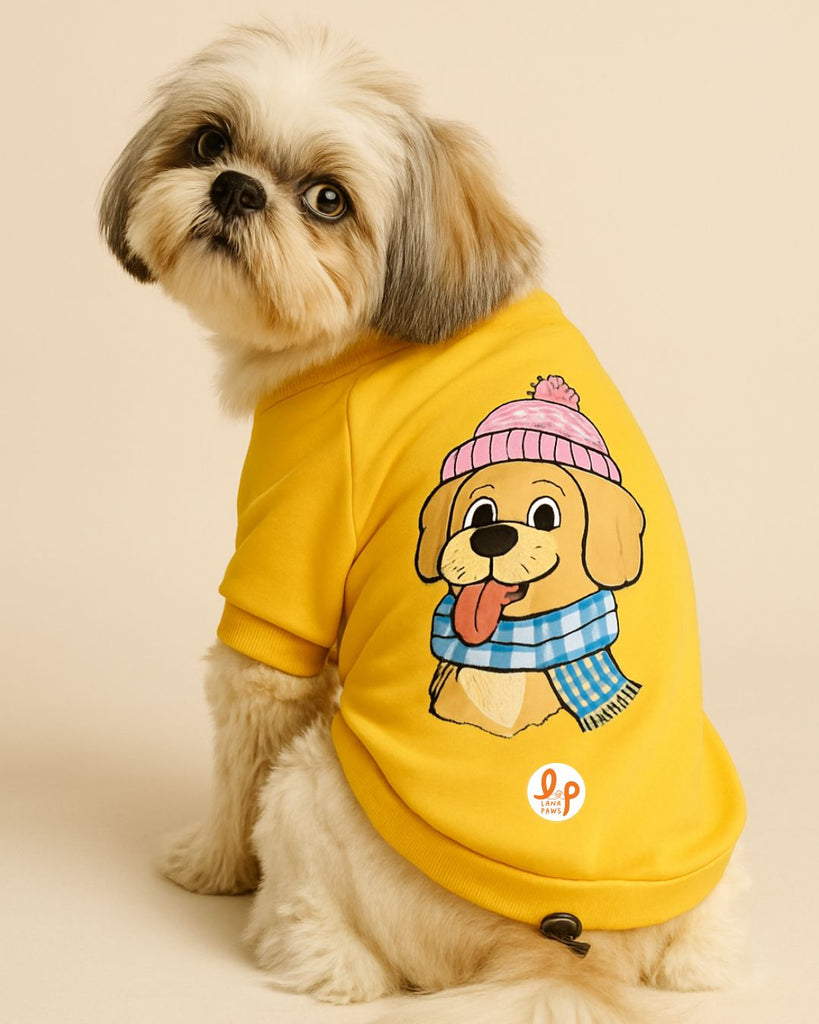 dog sweatshirts and winter clothes online india