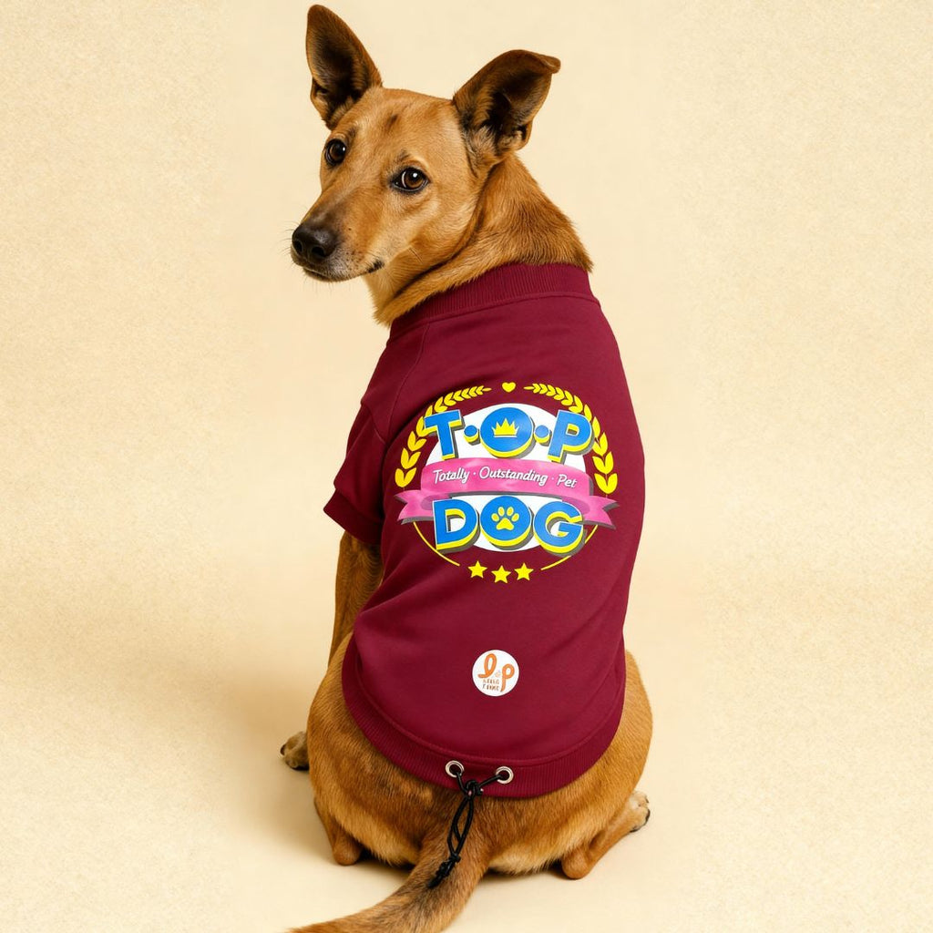 Winter Dog Sweatshirt - Top Dog