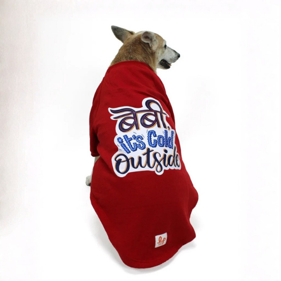 Winter Dog Sweatshirt - Baby, It's Cold Outside