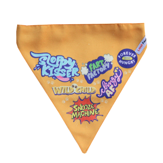Adjustable Dog Bandana/ Dog Scarf (orange) - Best Dog