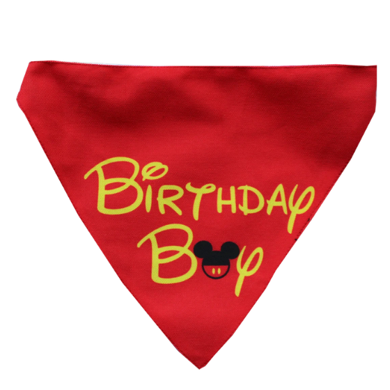 Adjustable Dog Bandana/ Dog Scarf - Birthday Boy