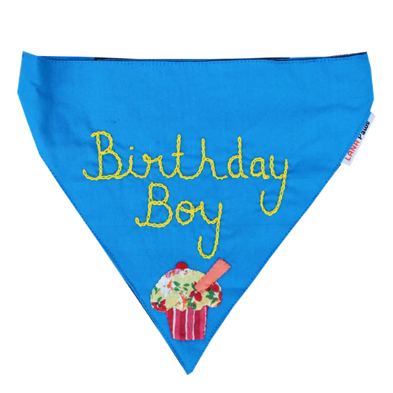 Birthday Boy! - Handmade Adjustable Dog Bandana