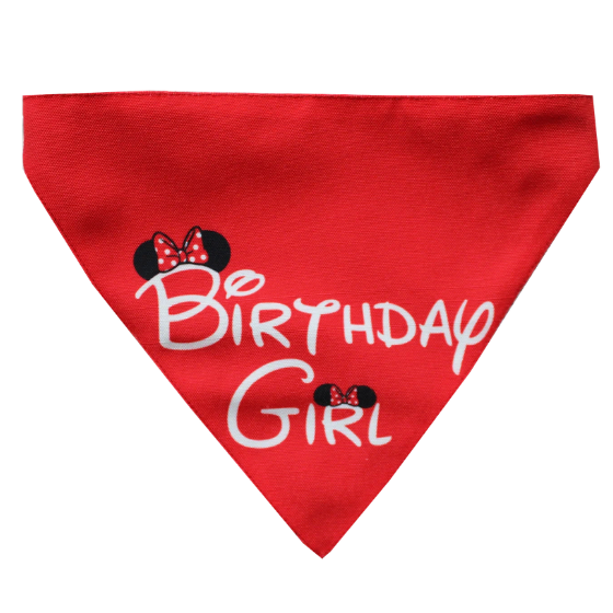 Adjustable Dog Bandana/ Dog Scarf - Birthday Girl