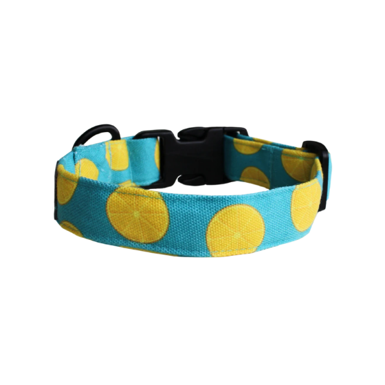 Dog Collar Neck Belt - Citrus Punch