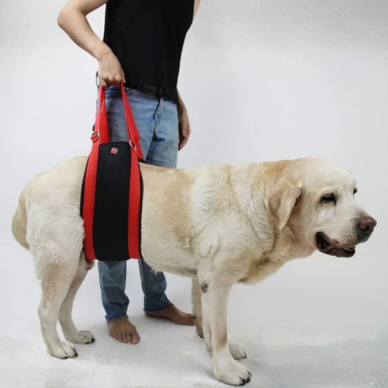 Dog Sling For Back or Hind Leg Lifting Support, Hip Support For Dogs