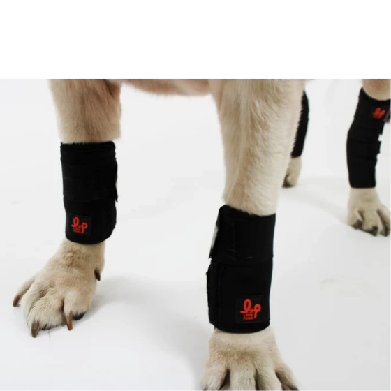 Dog Leg Braces Carpal or Wrist Support for Front Leg Joint (With Splint Support)
