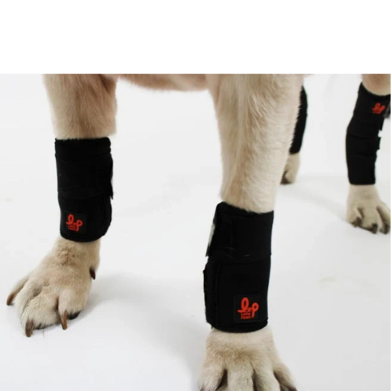 Dog Leg Braces Carpal or Wrist Support for Front Leg Joint