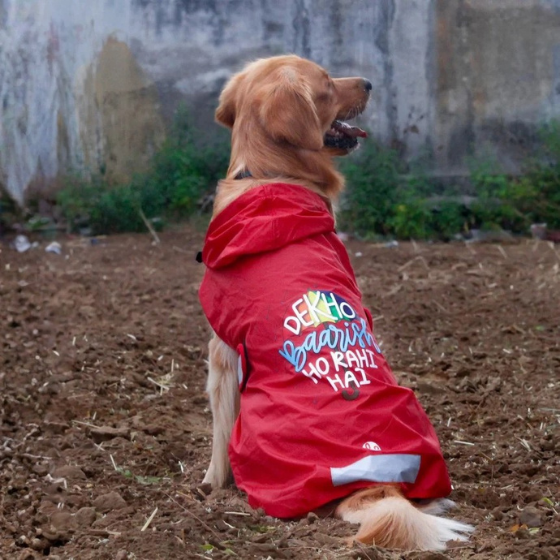 Dog Raincoat - Dekho Baarish Ho Rahi Hai