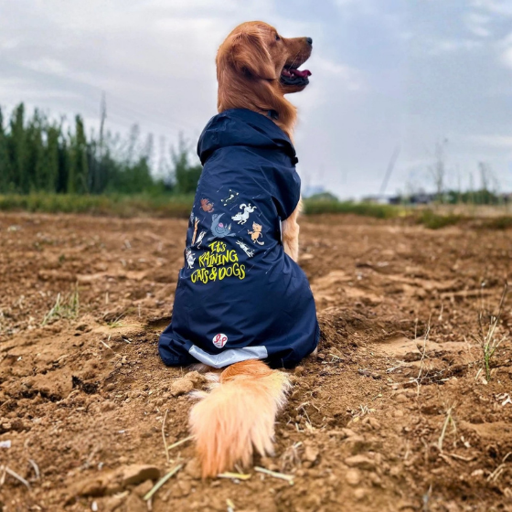 Dog Raincoat - It's Raining Cats & Dogs!