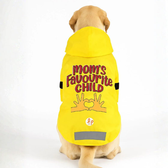 Dog Raincoat - Mom's Favourite Child
