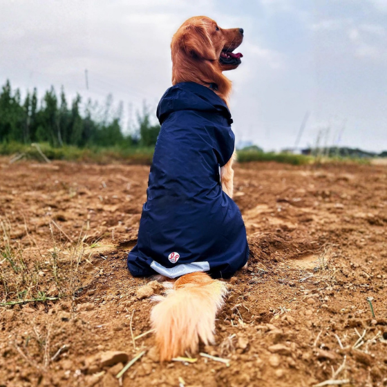 Dog Raincoat - Solid Navy Blue